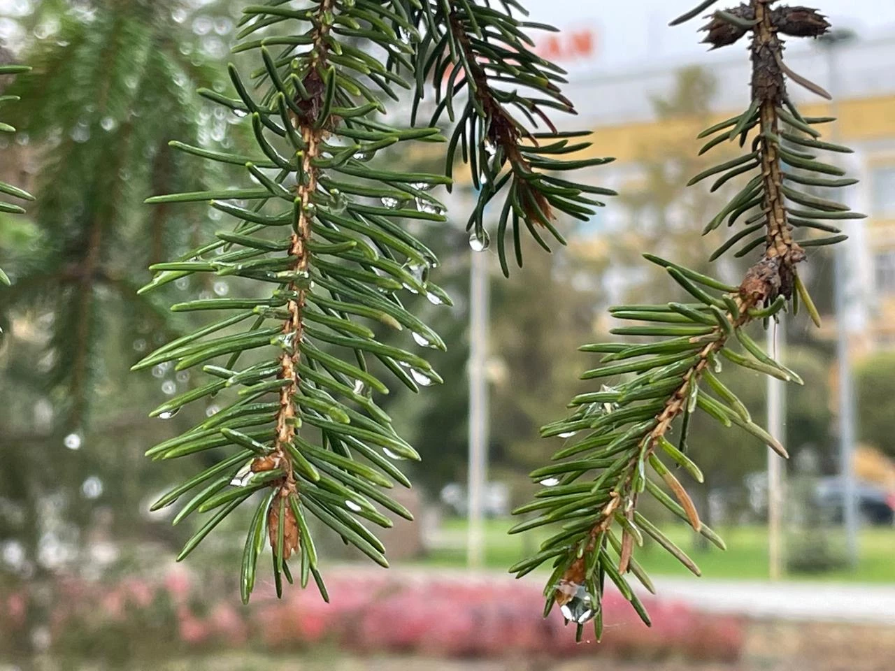 Погода без осадков ожидается в ЗКО 18 ноября